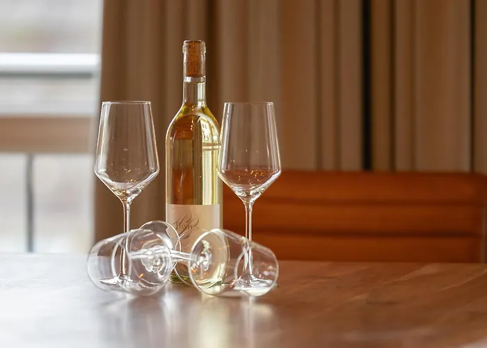 Beatrice Penthouse Beachloft 公寓 宾茨